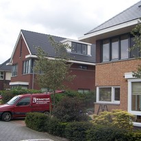 Plants: image 1 0f 4 thumb