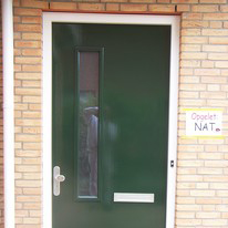 Plants: image 1 0f 4 thumb