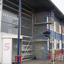 Plants: image 1 0f 4 thumb