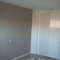 Plants: image 1 0f 4 thumb