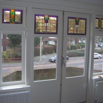 Plants: image 1 0f 4 thumb