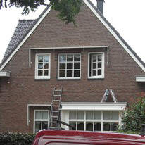 Plants: image 1 0f 4 thumb