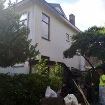 Plants: image 1 0f 4 thumb