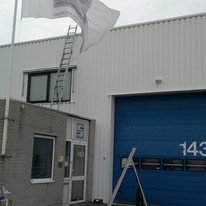 Plants: image 1 0f 4 thumb