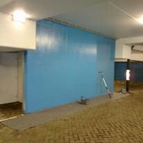 Plants: image 1 0f 4 thumb