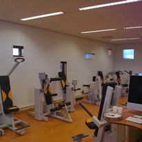 Plants: image 1 0f 4 thumb