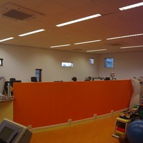 Plants: image 1 0f 4 thumb