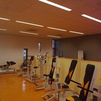 Plants: image 1 0f 4 thumb