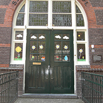 Plants: image 1 0f 4 thumb