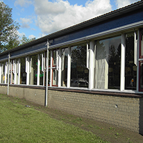 Plants: image 1 0f 4 thumb